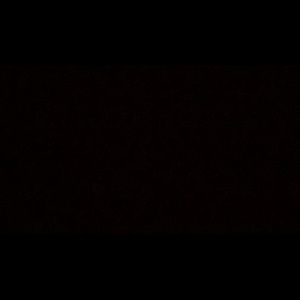 Meet your Posher, Delaney